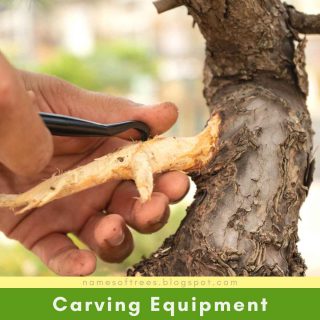 Carving Equipment