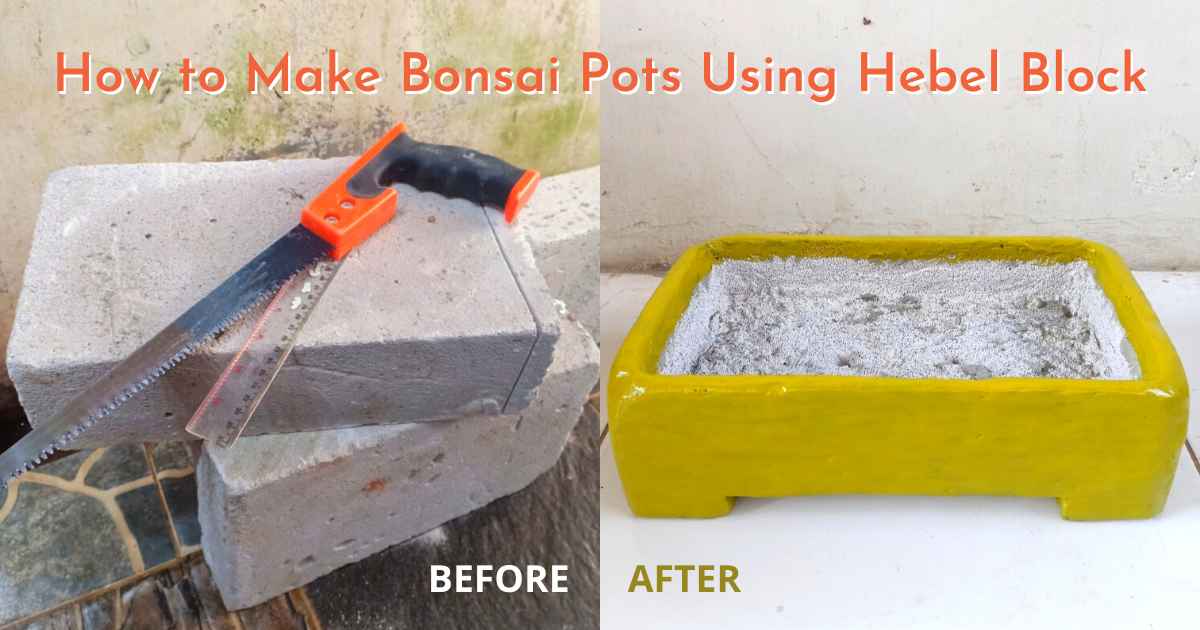 How to Make Bonsai Pots Using Hebel Block