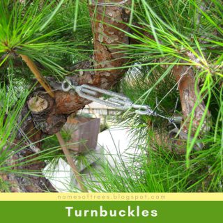 Turnbuckles